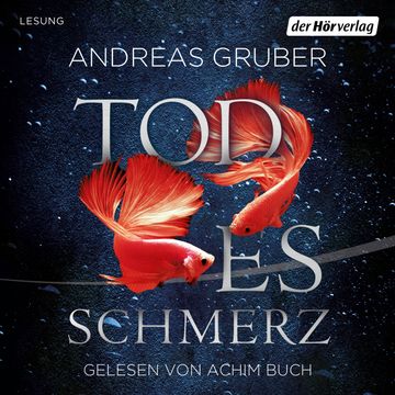 Todesschmerz audiobook, Andreas Gruber