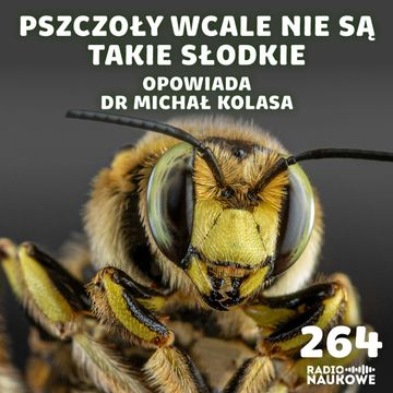 #264 Pszczoły – śmiertelne użądlenia i „słodkie pocałunki” | dr Michał Kolasa audiobook, Karolina Głowacka