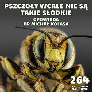 #264 Pszczoły – śmiertelne użądlenia i „słodkie pocałunki” | dr Michał Kolasa, Karolina Głowacka