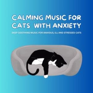 Calming Music for Cats with Anxiety - Pet Music Therapy, Pet Music Therapy