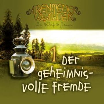 Der geheimnisvolle Fremde audiobook, Lois Walfrid Johnson