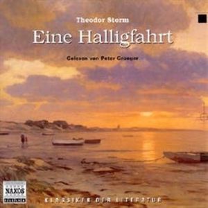 Eine Halligfahrt, Theodor Storm