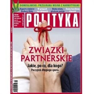 AudioPolityka Nr 25 z 15 czerwca 2011 roku, Polityka