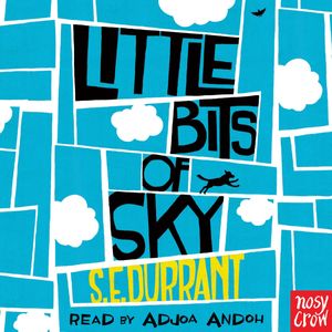 Little Bits of Sky, S. E. Durrant