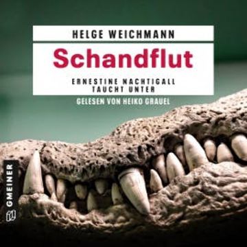 Schandflut audiobook, Helge Weichmann