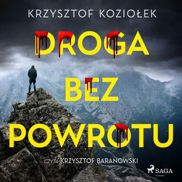 Droga bez powrotu audiobook, Krzysztof Koziołek