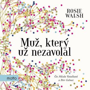 Muž, který už nezavolal, Rosie Walsh
