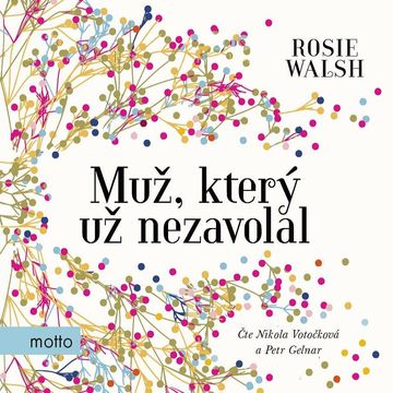 Muž, který už nezavolal, Rosie Walsh