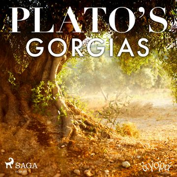 Plato’s Gorgias audiobook, Platon