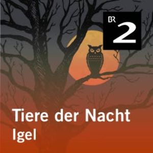 Tiere der Nacht: Igel, Silke Wolfrum