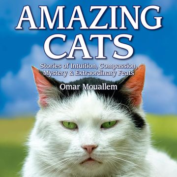 Amazing Cats - Stories of Intuition, Compassion, Mystery & Extraordinary Feats (Unabridged) audiobook, Omar Mouellam