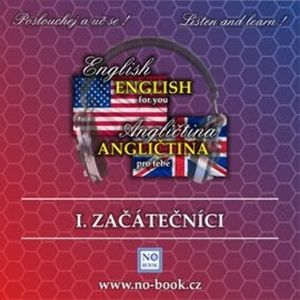 Angličtina pro tebe 1 - začátečníci, Richard Ludvík