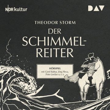 Der Schimmelreiter audiobook, Theodor Storm