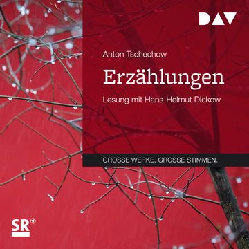 Erzählungen (Große Werke. Große Stimmen) audiobook, Anton Tschechow