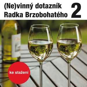 (Ne)vinný dotazník Radka Brzobohatého 2., Radoslav Brzobohatý