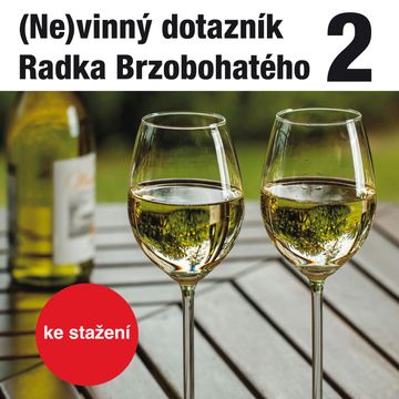 (Ne)vinný dotazník Radka Brzobohatého 2. audiobook, Radoslav Brzobohatý