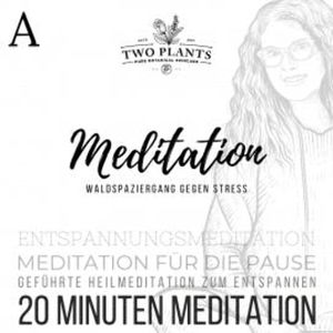 Waldspaziergang gegen Stress - Meditation A - 20 Minuten Meditation, Christiane M. Heyn