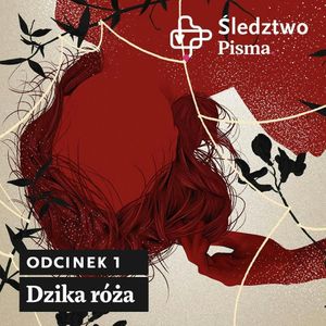 Śledztwo Pisma 2. Odcinek 1: Dzika Róża, Barbara Sowa