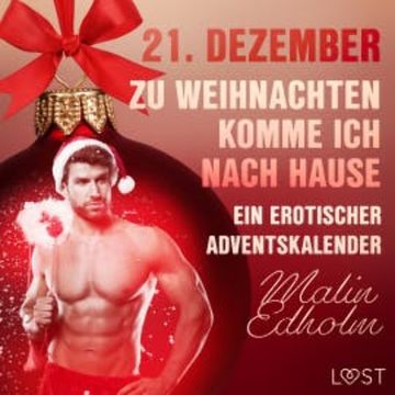 21. Dezember: Zu Weihnachten komme ich nach Hause – ein erotischer Adventskalender audiobook, Malin Edholm