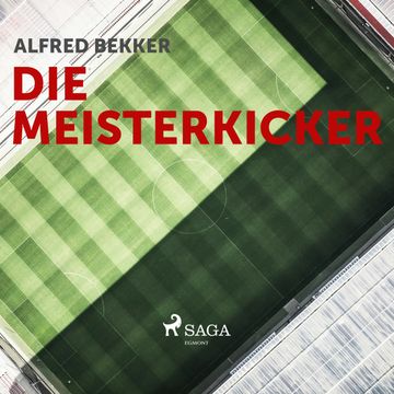 Die Meisterkicker audiobook, Alfred Bekker