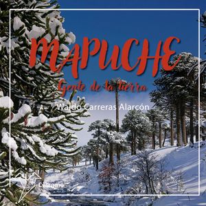 Mapuche, Waldo Carreras Alarcón