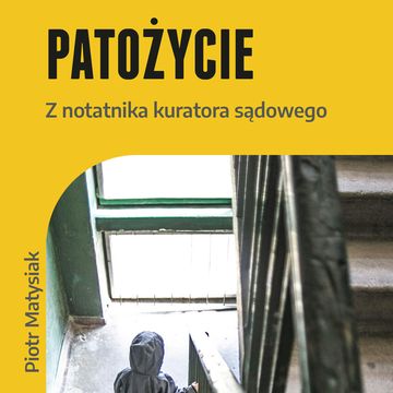 Patożycie.  Z notatnika kuratora sądowego audiobook, Piotr Matysiak