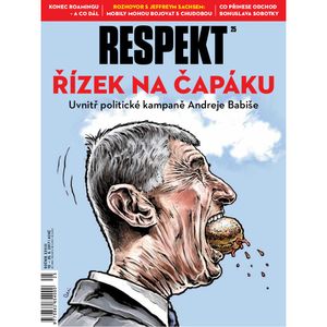 Respekt 25/2017, Respekt