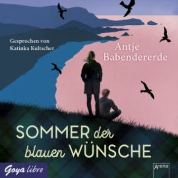 Sommer der blauen Wünsche audiobook, Antje Babendererde