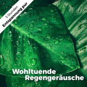 Wohltuende Regengeräusche, Martin Melzer