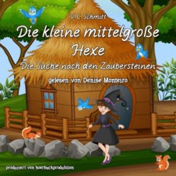 Die kleine mittelgroße Hexe audiobook, V.C. Schmitt