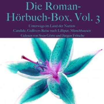 Die Roman-Hörbuch-Box, Vol. 3: Unterwegs im Land der Narren audiobook, Voltaire