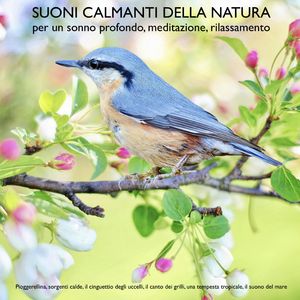 Suoni calmanti della natura (senza musica) per un sonno profondo, meditazione, rilassamento, Yella A. Deeken