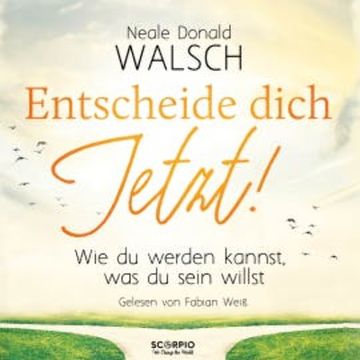 Entscheide dich jetzt! audiobook, Neale Donald Walsch