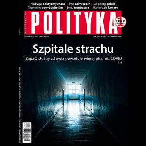 AudioPolityka Nr 17 z 22 kwietnia 2020 roku, Polityka
