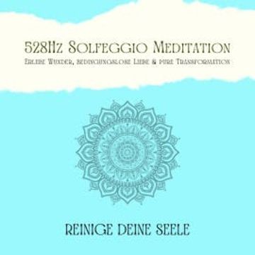 Reinige Deine Seele & vertraue Deinem Schutzengel: 528Hz Solfeggio Meditation audiobook, Patrick Lynen