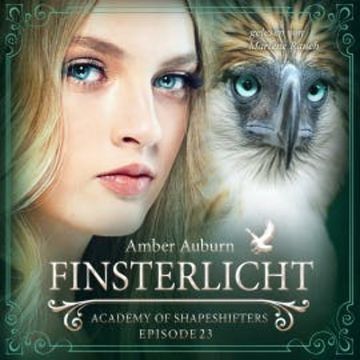 Finsterlicht, Episode 23 - Fantasy-Serie audiobook, Amber Auburn