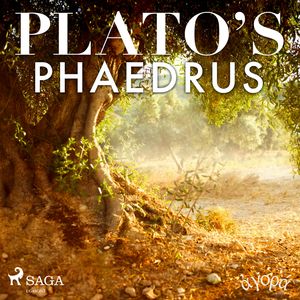 Plato’s Phaedrus, Platon