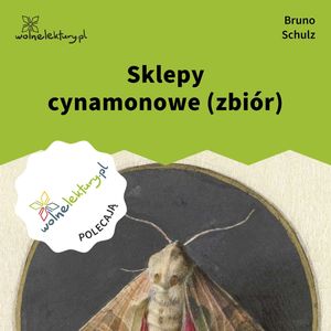 Sklepy cynamonowe (zbiór), Bruno Schulz