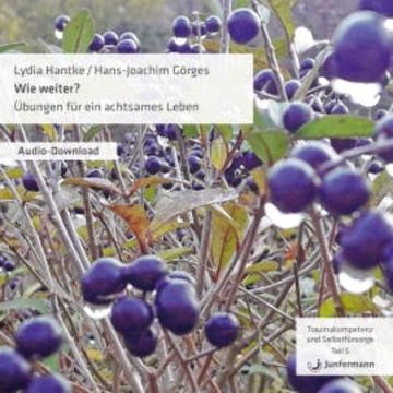 Wie weiter? Übungen für ein achtsames Leben audiobook, Lydia Hantke
