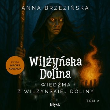Wiedźma z Wilżyńskiej Doliny. Wilżyńska Dolina. Tom 2 audiobook, Anna Brzezińska