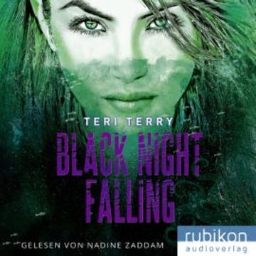 Black Night Falling audiobook, N.N.