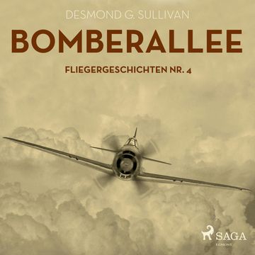 Bomberallee audiobook, Desmond G. Sullivan