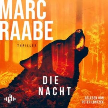Die Nacht (Art Mayer-Serie 3) audiobook, Marc Raabe