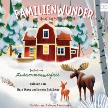 Familienwunder am Haus im Winterwald audiobook, Salome Klein