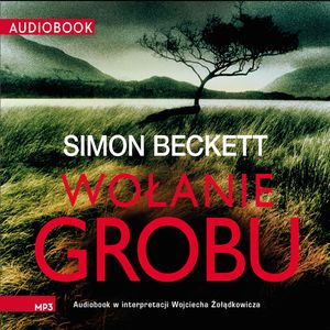 Wołanie grobu, Simon Beckett