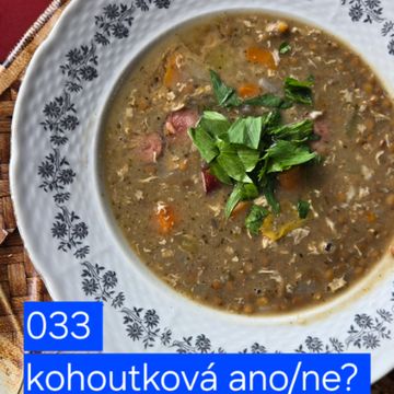 033 kohoutková ano/ne? audiobook, Hana Kuncová, Lukáš Hejlík