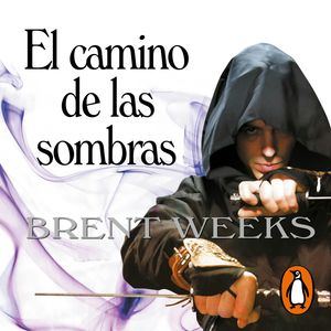 El camino de las sombras (El Ángel de la Noche 1), Brent Weeks