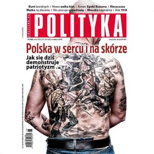 AudioPolityka Nr 45 z 8 listopada 2017 roku, Polityka