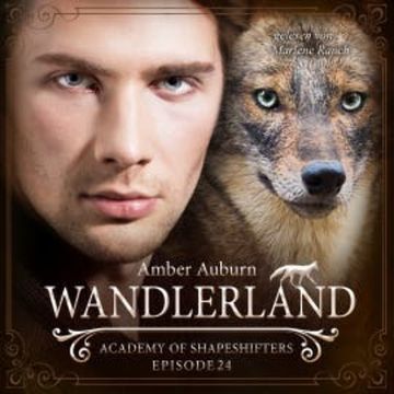Wandlerland, Episode 24 - Fantasy-Serie audiobook, Amber Auburn
