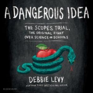 A Dangerous Idea, Debbie Levy